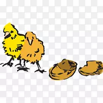 鸡鸟泡菜蛋夹艺术-鸡