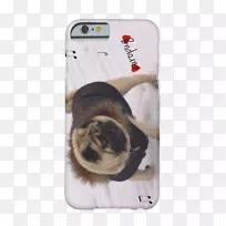 小狗iPhone6iPhone5s鼻子-小狗