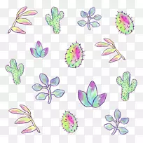 肉质植物仙人掌科花卉设计图-植物