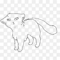 胡须，国内短发猫线艺术素描-猫