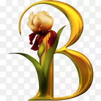 花卉设计字母表字母.祝福
