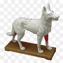 狗品种针刺缝纫针雕塑狗