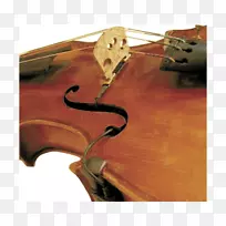低音小提琴中提琴麦克风