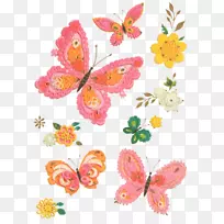 帝王蝶，刷子，蝴蝶，花，蝴蝶和蛾花设计.花