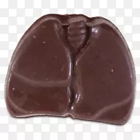 巧克力视觉解剖肺心巧克力