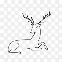 白尾鹿驼鹿夹艺术鹿