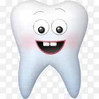 牙齿仙女牙科-人类牙齿微笑