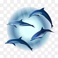 海豚壁画-海豚