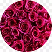 花园玫瑰，花卉设计，切花，花束，热粉色花