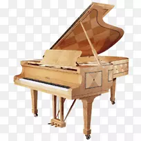 大钢琴乐器Fazioli-钢琴