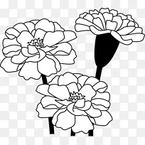 花卉设计黑白绘画视觉艺术-花