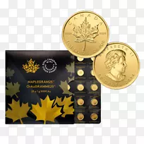 加拿大金枫叶金币金条金币