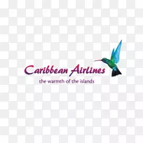 皮亚尔科国际机场切迪贾根国际机场加勒比航空有限公司航班广告