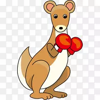 袋鼠肉澳大利亚动物拳击袋鼠