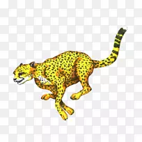 猎豹美洲豹陆生动物猎豹