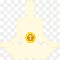 肩部另类健康服务药物动物神经丛