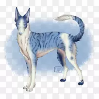 沙狼犬捷克斯洛伐克狼狗猫犬品种-猫