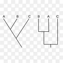 类群图生物学系统发育分类进化树