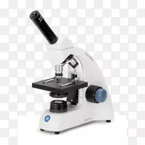 光学显微镜立体显微镜数字显微镜单目显微镜