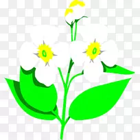 桌面壁纸，白色黑色电脑剪贴画.计算机
