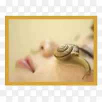 蜗牛粘液护肤品-减少