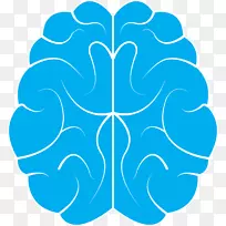 神经科学实践研究所，PLLC：Geoffrey w.科利诺人脑-大脑