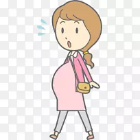 妊娠、分娩、羊水、婴儿、母亲-妊娠