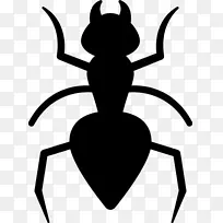 蚂蚁甲虫防治蟑螂夹艺术.甲虫