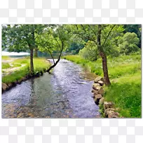 河支流河岸区景观的溪流剪辑艺术