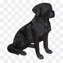 拉布拉多猎犬，英国小猎犬，花园装饰品-小狗