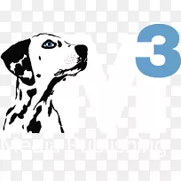 达尔马提亚犬小狗犬繁殖非运动团体标志-专业律师团队