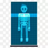 人体骨骼x射线智人骨骼
