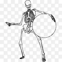 人体骨骼-人体脊柱-骨骼