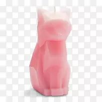 猫骨骼蜡的解剖-猫