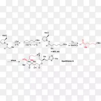 Enderssamp/斜腙-烷基化反应手性辅助不对称碳