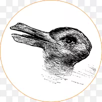 兔鸭幻象Yanny或月桂鸭