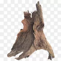浮木雕塑树干-木材