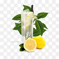 柠檬水汤姆柯林斯杜松子鸡尾酒装饰-柠檬