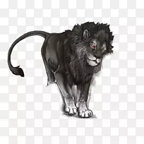 狮子大猫咆哮陆地动物-雌性狮子