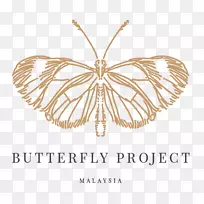 蝴蝶马来西亚昆虫计划你好蝴蝶！-蝴蝶