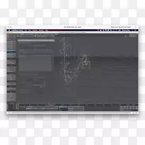 计算机程序电子屏幕截图字体计算机
