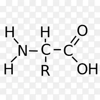 溴乙酸羧酸氨基酸官能团氨基酸