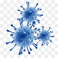 呼吸道合胞病毒传染病流感感染冠状病毒载体