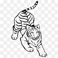 虎猫科线画夹艺术-老虎