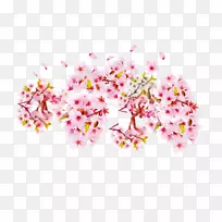 樱花花卉设计-樱花