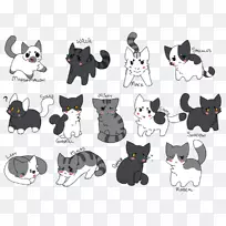 小猫胡须，猫妮可，黑白相间小猫