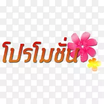 Kopi luwak咖啡廉价咖啡厅食品-热销