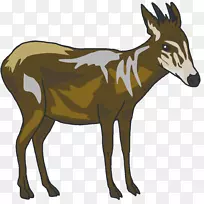 麋鹿，麝香鹿，驴羚羊-驴