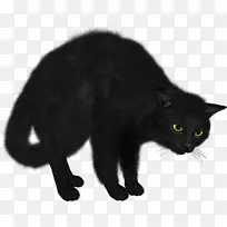 黑猫孟买猫家短毛猫剪贴画-费斯卡