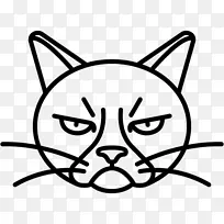 脾气暴躁的猫画夹艺术-猫